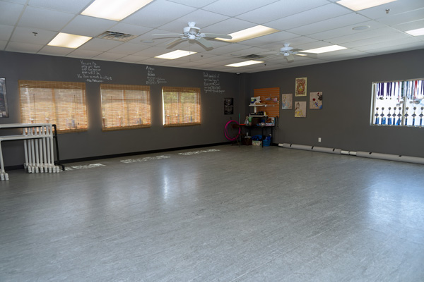 STUDIO D